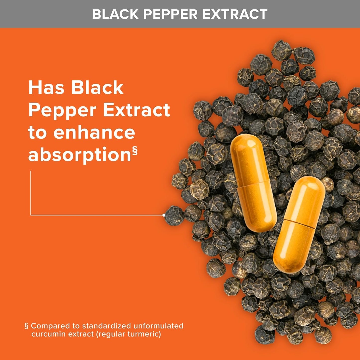 Turmeric with Curcumin 95